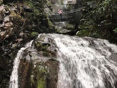 -藏龙百瀑风景区