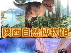 -陕西自然博物馆