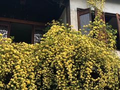 -中国昆曲博物馆
