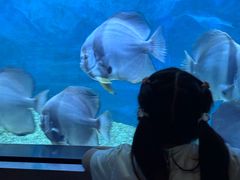 -渔火·特色餐厅(佘山世茂洲际酒店)