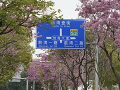 -万科前海企业公馆