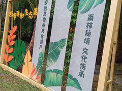 -呀诺达热带雨林