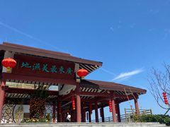 -大湾区中央湿地公园