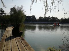 -八大山人梅湖景区