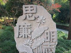 -陈家山荷花公园