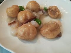 -席家花园(巨鹿花园店)