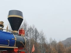 -莫尔道嘎国家森林公园