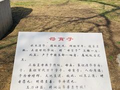 -清华大学-甲所餐厅