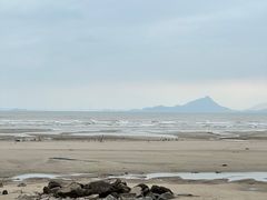 -南澳海滩