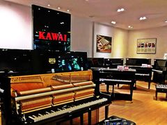 -柏斯琴行(汾阳店)