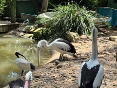 -费瑟代尔野生动物园