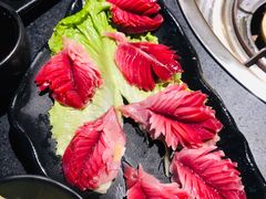 -莽子老火锅(大坪店)