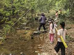 -象头山国家级自然保护区