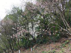 -石峰公园