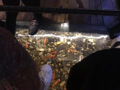 -颐和•海鲜砂锅粥•啫啫煲(奥林匹克广场店)