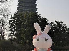 -红梅公园