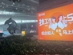 -青岛胶东国际机场