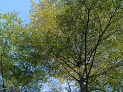 -厦门日月谷温泉渡假村