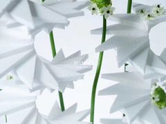 -水之教会