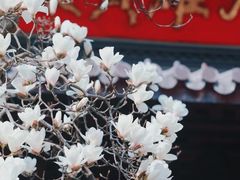 -灵谷景区