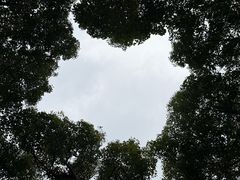 -嘉北郊野公园