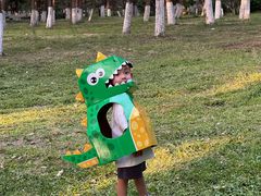 -长白岛森林公园