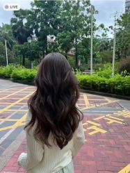 -LANGCHAO·浪潮黑鲸店
