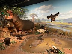 -陕西自然博物馆