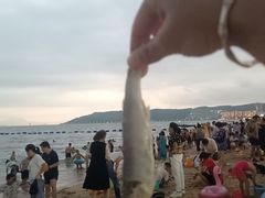 -碧桂园十里银滩