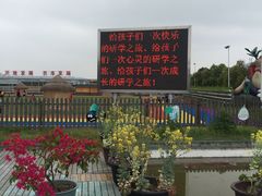 -米果果小镇