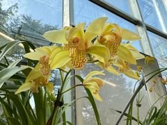 -国家植物园南园