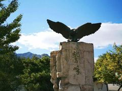 -北京鹫峰国家森林公园