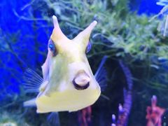 -多彩贵州城极地海洋世界