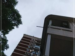 -Timo队长·高端生日派对策划机构(静安寺店)