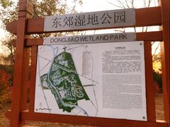 -东郊湿地公园
