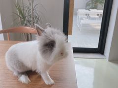 -小意思咖啡店(草桥店)