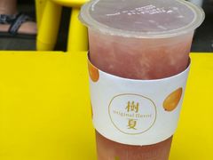 -树夏(建设路店)