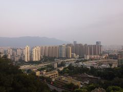 -金鸡山公园