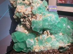 -湖南省地质博物馆