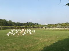 -盈香心动乐园
