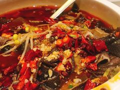 水煮毛肚-古韵轩·江浙融合菜(梁溪店)