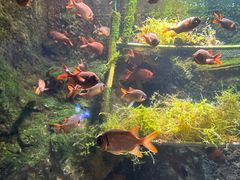 -太平洋海底世界