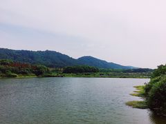 -青龙山国家森林公园