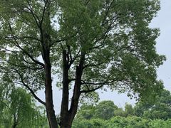 -韩湘水博园