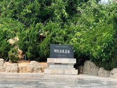 -大槐树寻根祭祖园