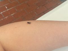 -新竹里馆·花园餐厅(兴苑路店)