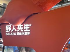 -野人先生现做冰淇淋(北京王府井东方新天地店)
