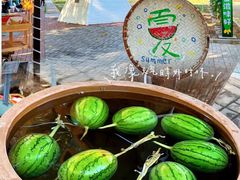 -北戴河集发农业梦想王国