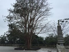 -博鳌禅寺