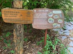 -华侨城湿地公园